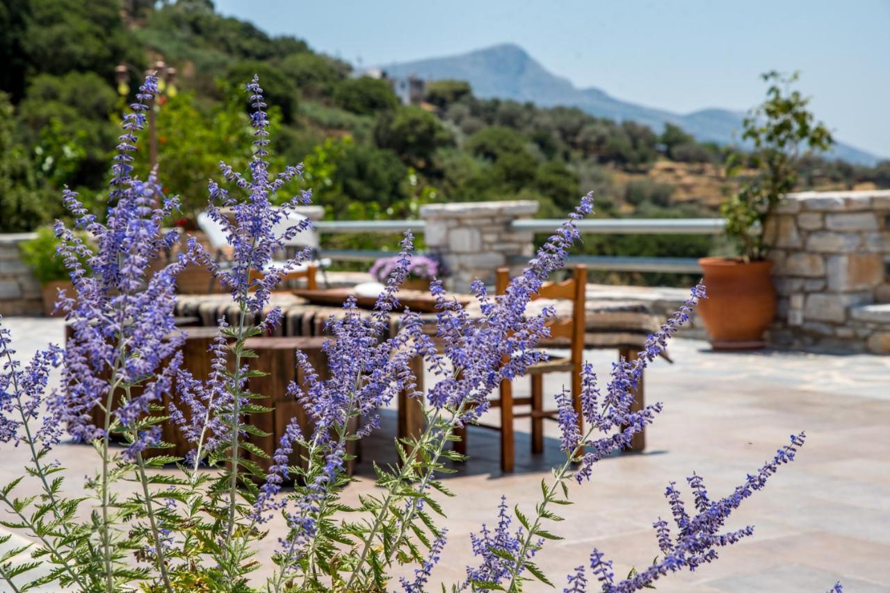 Elaiolithos - Luxury Villa Suites - Adults Only Khalkíon Dış mekan fotoğraf